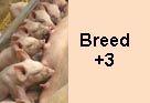 Breeding